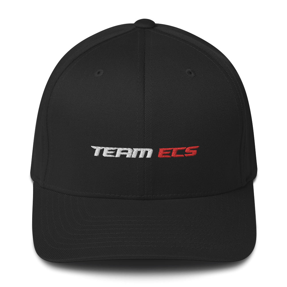 Team ECS New York Dad Hat